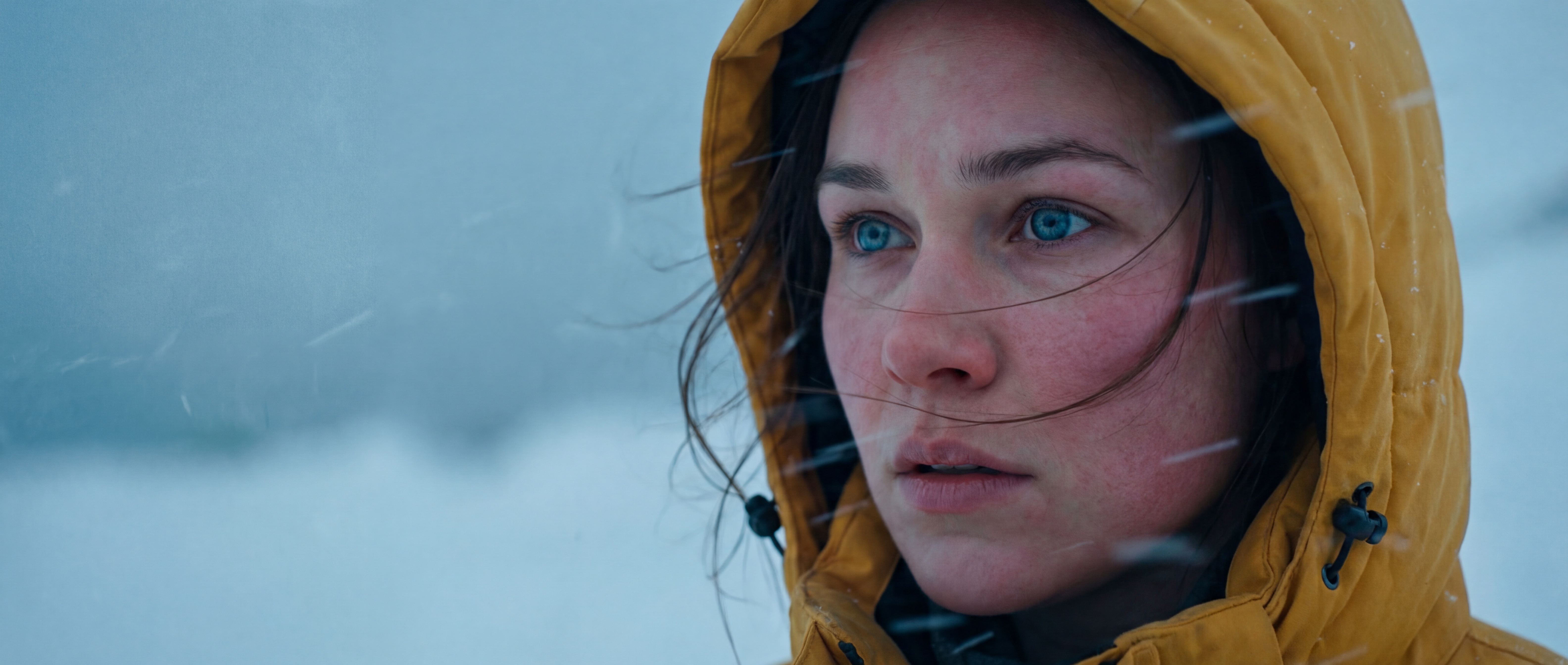 Klara Voss — Arctic Exterior